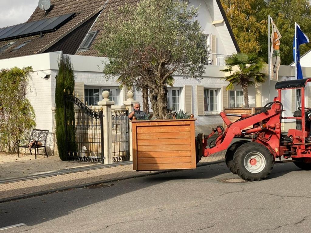 Wilsmann Apartmentvermietung Hövelhof Eksteriør billede
